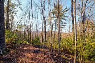 138 Lucius Lane, Cherrylog, GA 30522 - Photo 41
