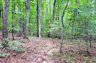 1001 Herrell Rd, Villa Rica, GA 30180 - Photo 101