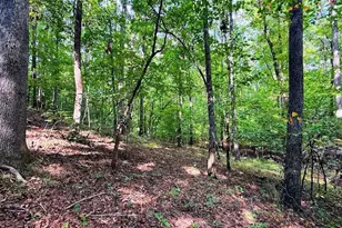 1001 Herrell Rd, Villa Rica, GA 30180 - Photo 105
