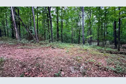 1001 Herrell Road, Villa Rica, GA 30180 - Photo 83