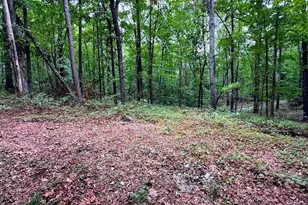 1001 Herrell Rd, Villa Rica, GA 30180 - Photo 83