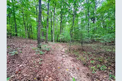 1001 Herrell Road, Villa Rica, GA 30180 - Photo 93