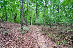 1001 Herrell Rd, Villa Rica, GA 30180 - Photo 93