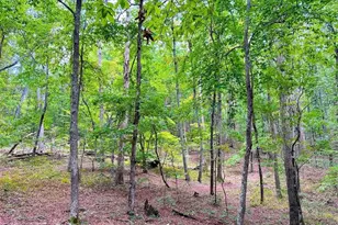 1001 Herrell Rd, Villa Rica, GA 30180 - Photo 109