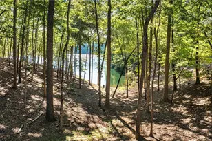 33 Kingfisher Point, Big Canoe, GA 30143 - Photo 51