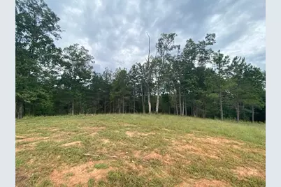 00 High River Road, Ellijay, GA 30540 - Photo 5