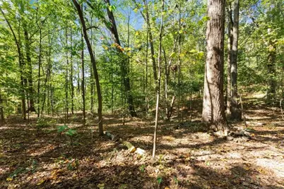 1120 Riverwood Drive, Pendergrass, GA 30567 - Photo 53