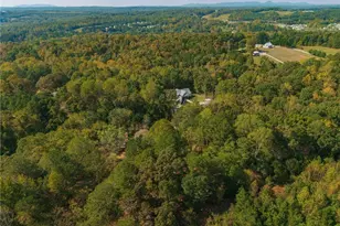 469 Flatbottom Rd, Ball Ground, GA 30107 - Photo 21