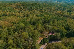 469 Flatbottom Rd, Ball Ground, GA 30107 - Photo 23