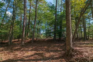 469 Flatbottom Rd, Ball Ground, GA 30107 - Photo 15