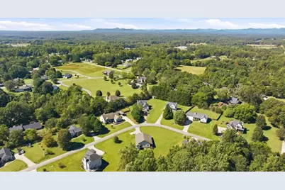 219 Mallard Pond Circle, Alto, GA 30510 - Photo 43