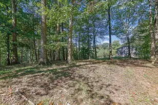 167 Nugget Ridge Rd, Dawsonville, GA 30534 - Photo 33