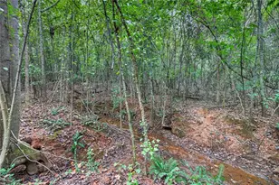 339 Jennings Ln, Nicholson, GA 30565 - Photo 65