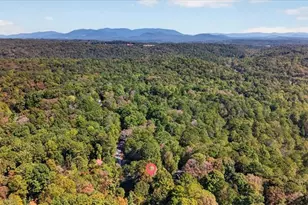 1485 Newport Dr, Ellijay, GA 30540 - Photo 11