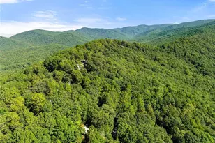 125 Owltown Dr, Ellijay, GA 30536 - Photo 43