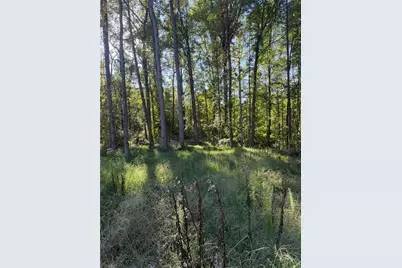 92 Ida Pace Road, Nicholson, GA 30565 - Photo 11