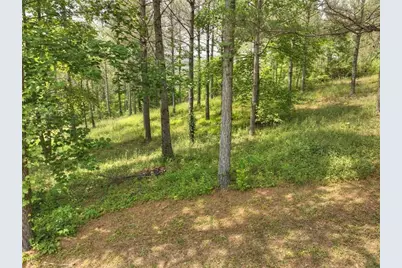 Lt 31 Eastside Drive, Ellijay, GA 30536 - Photo 7