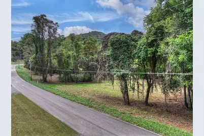 Tr 2 Davis Road, Blue Ridge, GA 30513 - Photo 19