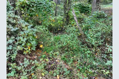 Tr 2 Davis Road, Blue Ridge, GA 30513 - Photo 17