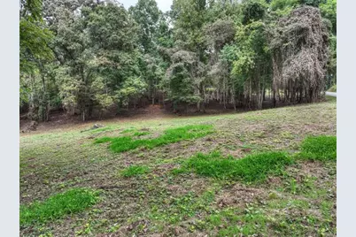 Tr 2 Davis Road, Blue Ridge, GA 30513 - Photo 5