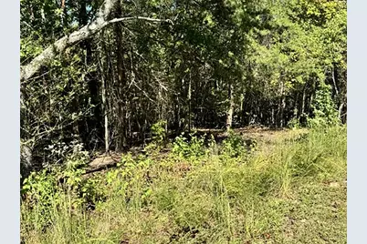 0 Whippoorwill Way, Alto, GA 30510 - Photo 7