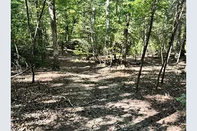 0 Whippoorwill Way, Alto, GA 30510 - Photo 5