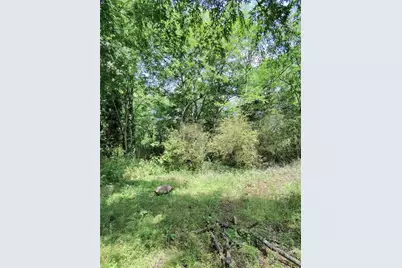 479 Sandtown Rd SE, Cartersville, GA 30121 - Photo 13