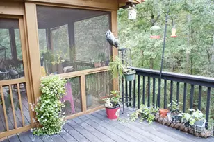 34 Matthew Ct, Dahlonega, GA 30533 - Photo 13