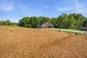 61 Goodman Path, Temple, GA 30179 - Photo 3
