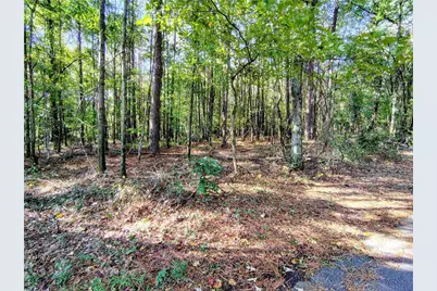 0 Brannan Road, McDonough, GA 30253 - Photo 9