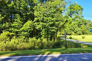 0 Brannan Rd, McDonough, GA 30253 - Photo 1
