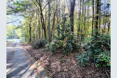 0 Brannan Road, McDonough, GA 30253 - Photo 11