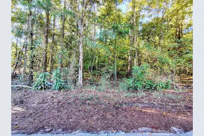 0 Brannan Road, McDonough, GA 30253 - Photo 7