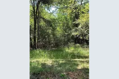 3515 Odessa Way, Loganville, GA 30052 - Photo 3