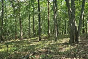 0 Firetower Rd, Jasper, GA 30143 - Photo 1