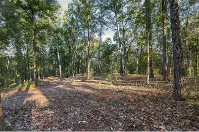 723 Chattin Drive, Canton, GA 30115 - Photo 3