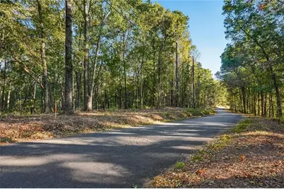 735 Chattin Drive, Canton, GA 30115 - Photo 3