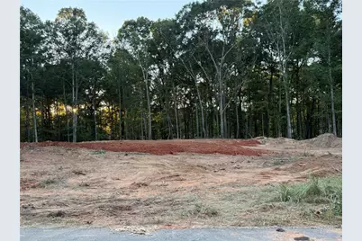 37 Springtime Way, Monroe, GA 30655 - Photo 3