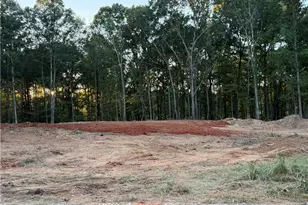 37 Springtime Way, Monroe, GA 30655 - Photo 3