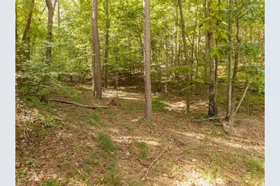 54 Cunningham Mountain Road, Ellijay, GA 30536 - Photo 25