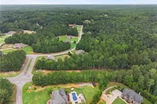 233 Arborview Dr, McDonough, GA 30252 - Photo 63