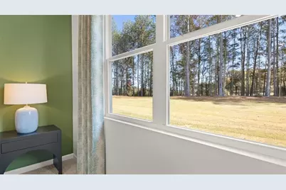 142 White Spruce Way, Newnan, GA 30265 - Photo 29