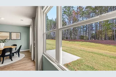 142 White Spruce Way, Newnan, GA 30265 - Photo 25