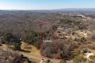 2164 Yukon Rd, Ellijay, GA 30536 - Photo 39
