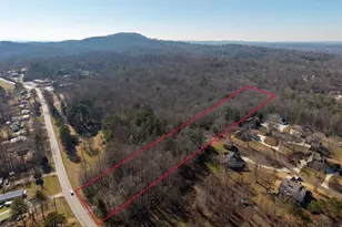 2164 Yukon Rd, Ellijay, GA 30536 - Photo 41