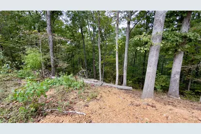 283 Moores Ferry Road, Plainville, GA 30733 - Photo 3