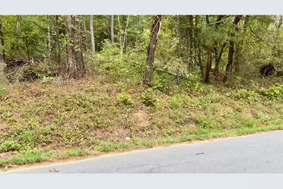 283 Moores Ferry Road, Plainville, GA 30733 - Photo 13