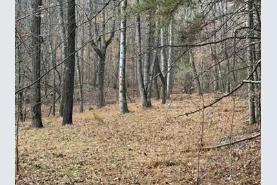0 John Call Rd - 181.51Ac, Talking Rock, GA 30175 - Photo 11