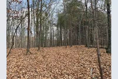 0 John Call Rd - 181.51Ac, Talking Rock, GA 30175 - Photo 15