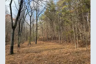 0 John Call Rd - 181.51Ac, Talking Rock, GA 30175 - Photo 13